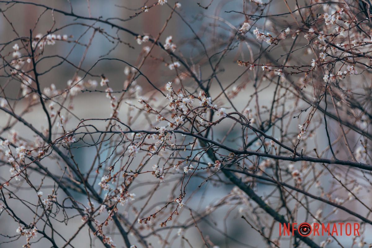 Весна рядом