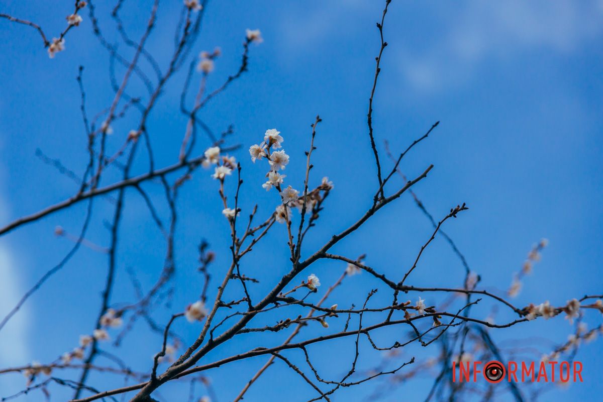 Фото: Денис Чубченко