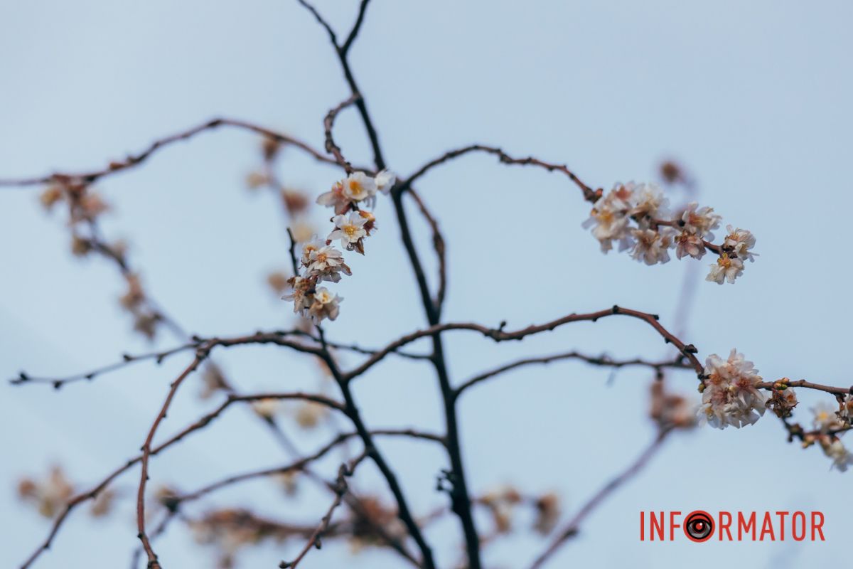 Жизнь продолжается