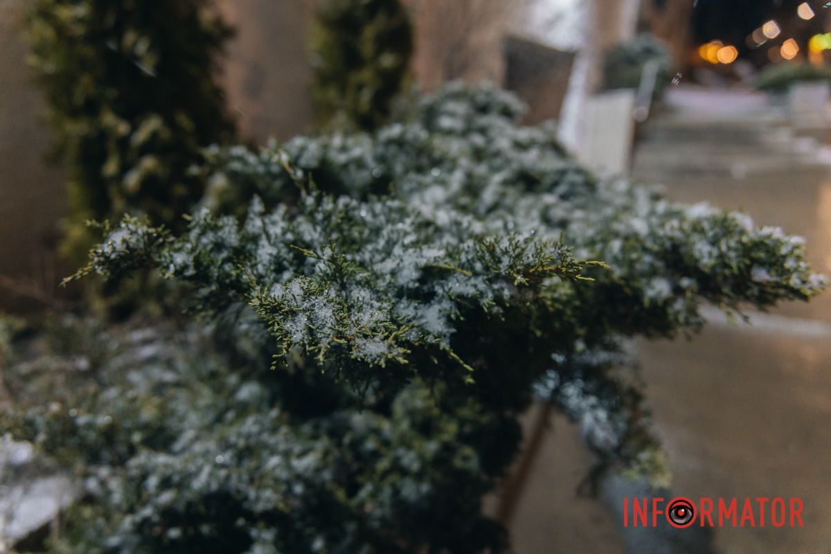 Морозяним ранком