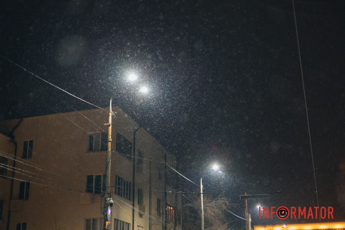 Перші сніжинки у 2024 році