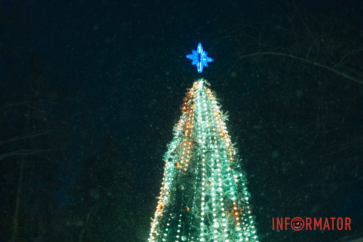 Сховались рослини,