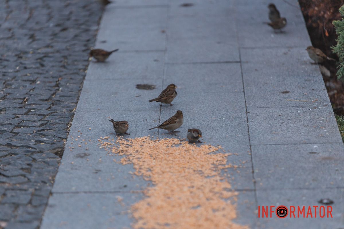 Це можна зробити у яхт-клубі “Січ”