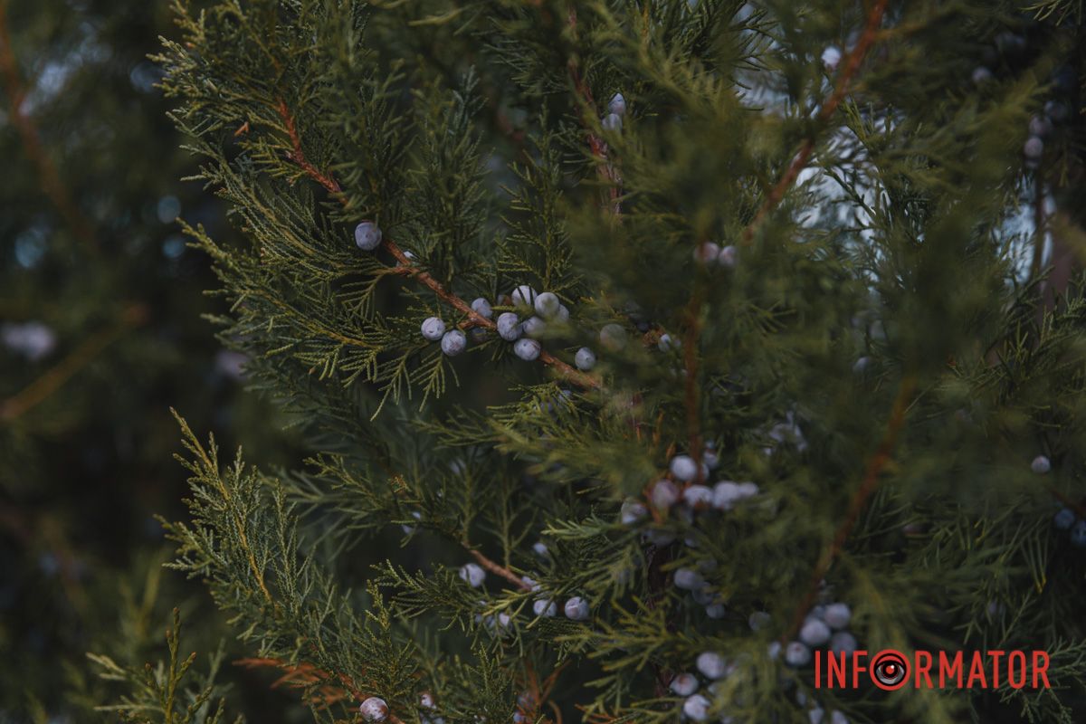 Фото - Денис Чубченко