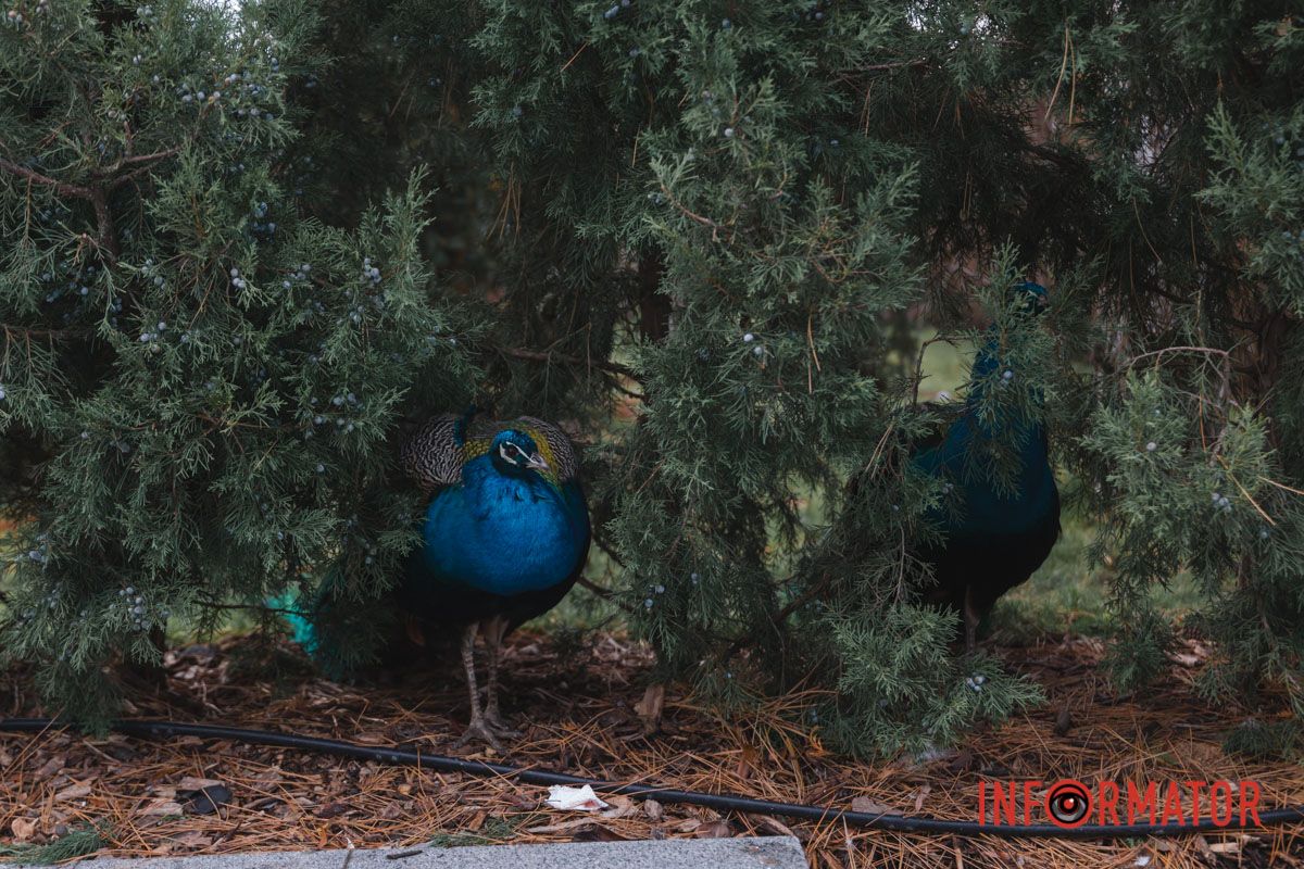 Чарівне місце 