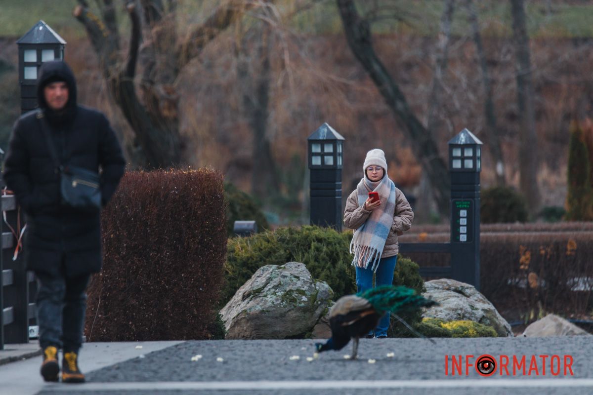 Наодинці з природою 