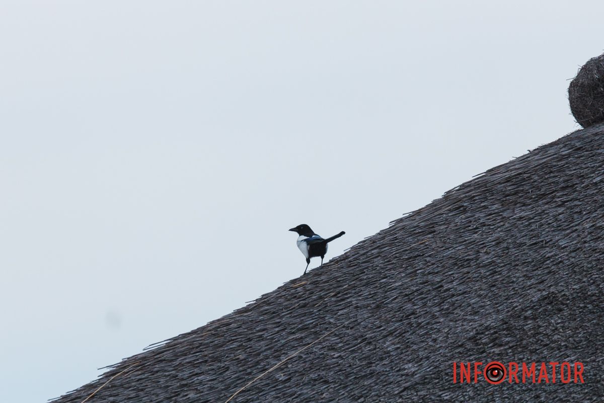 Такий маленький 