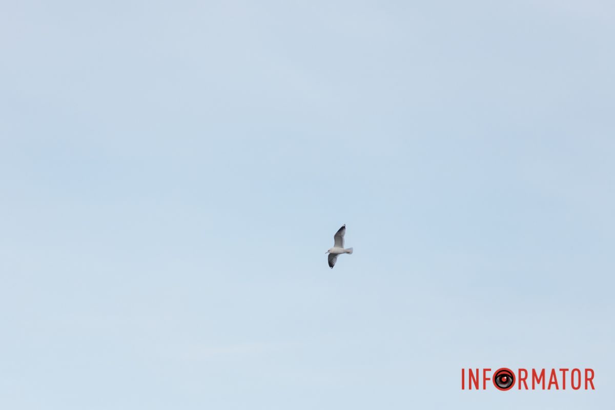 Мирне небо - найголовніша мрія