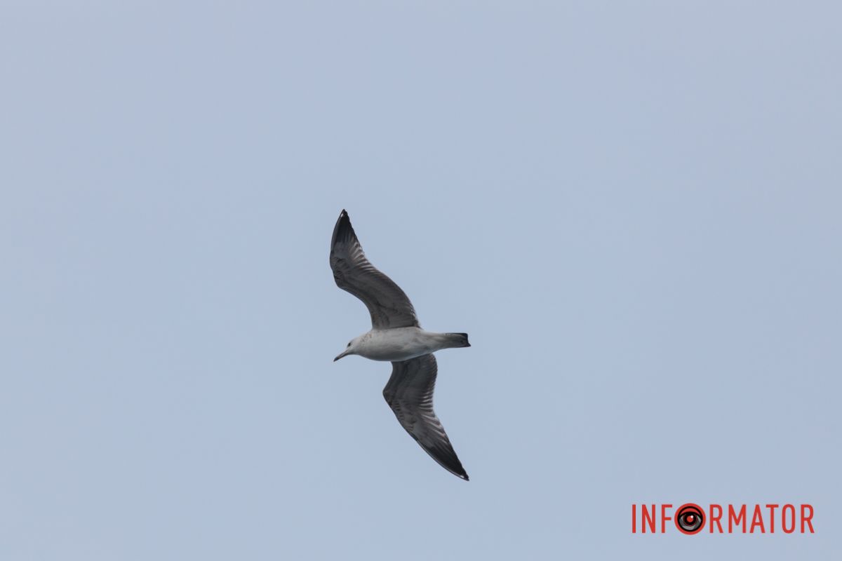 Оператори Інформатора завітали до цього надзвичайного місця