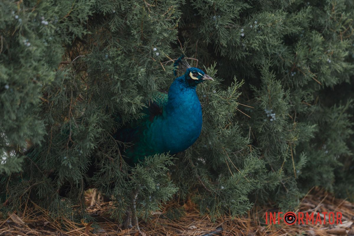 А тут суботній день минає ,