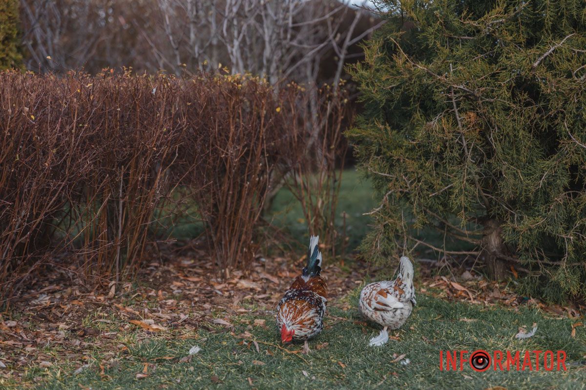 Чекаємо на нашу Перемогу 