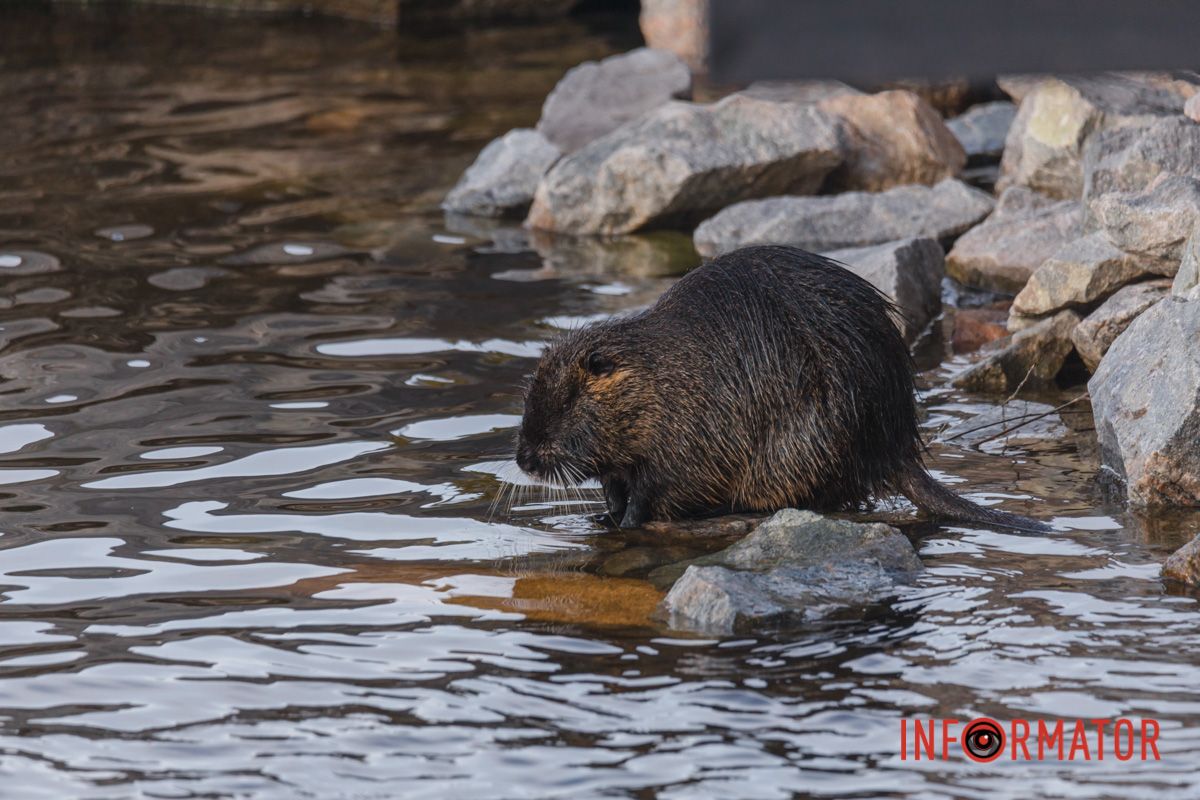 Наші оператори стараються для вас