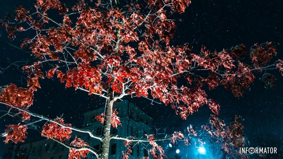 У Дніпрі йтиме дощ зі снігом: прогноз погоди на 7 січня