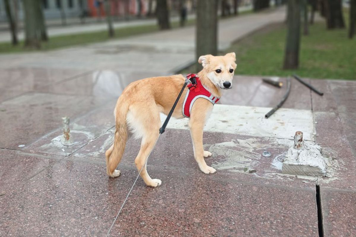 Только посмотрите на эти глаза Только посмотрите на эти глаза