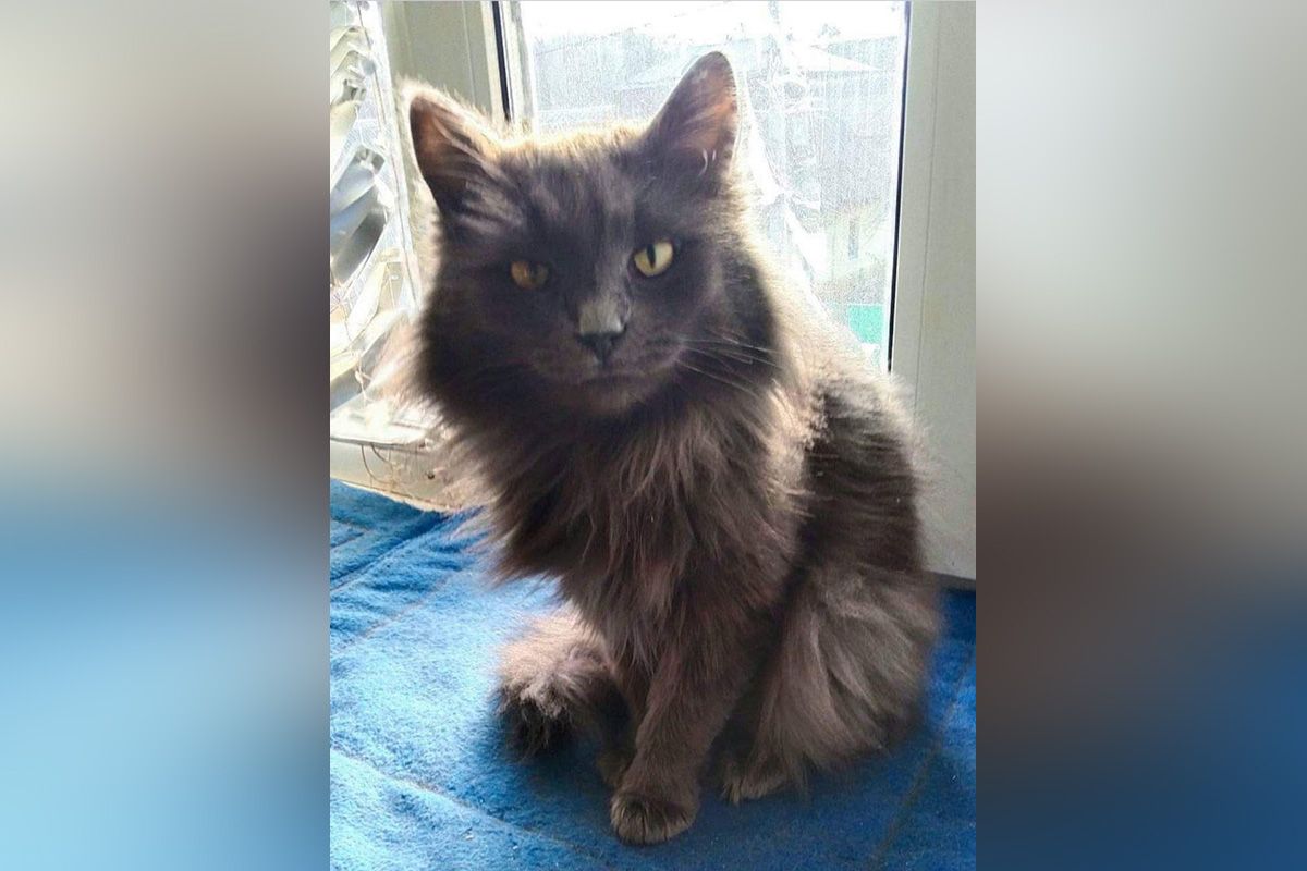 Ее зовут Мишка Ее зовут Мишка