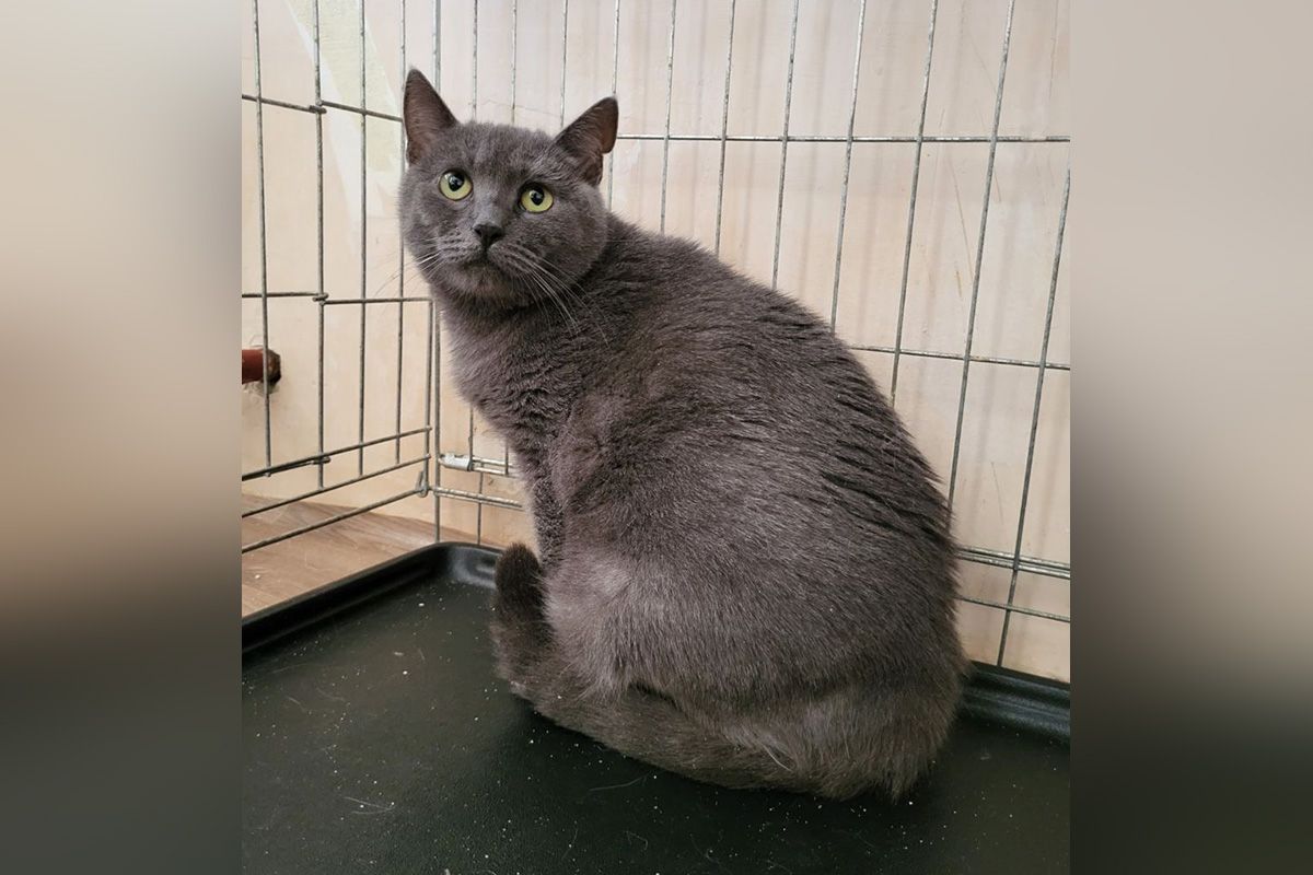 Ее зовут Красавица Ее зовут Красавица