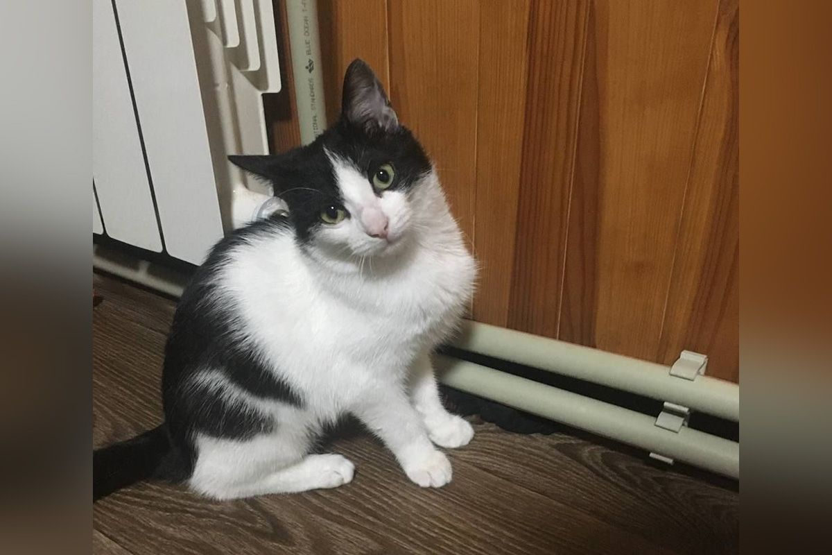 А это Мася А это Мася