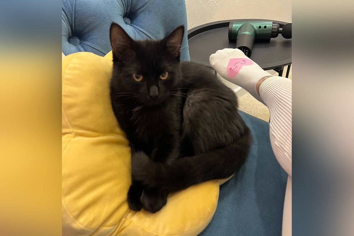 Он – особенный Он – особенный