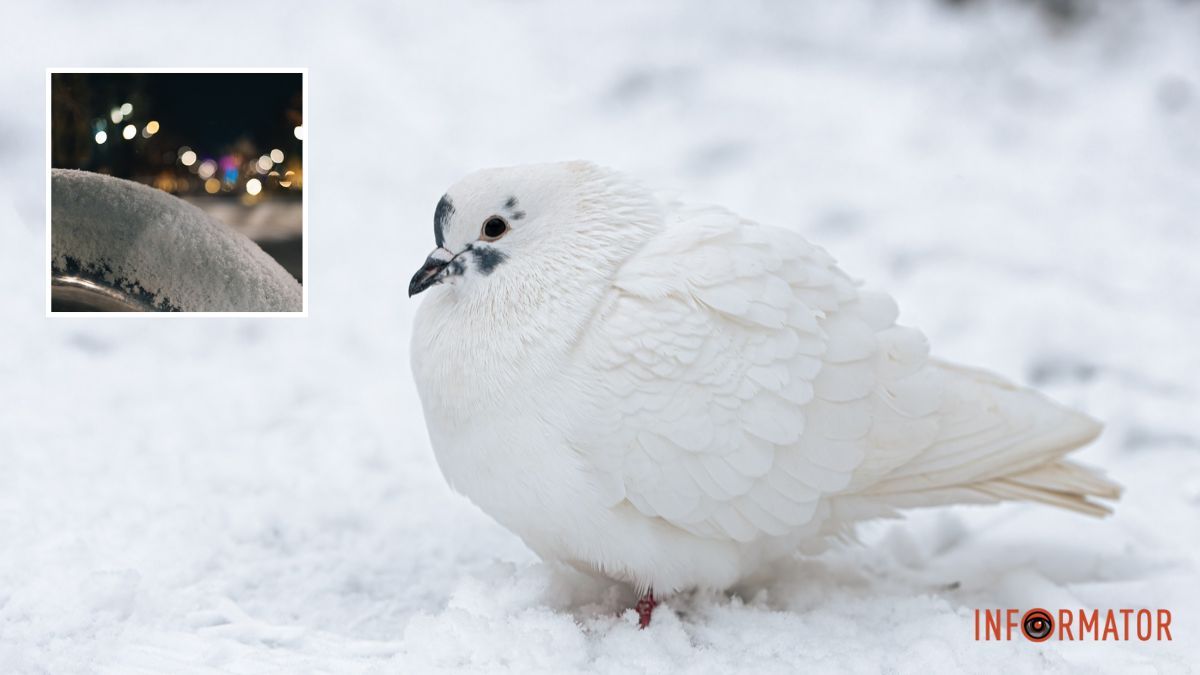 До -11 на термометрі: прогноз погоди на 8 січня