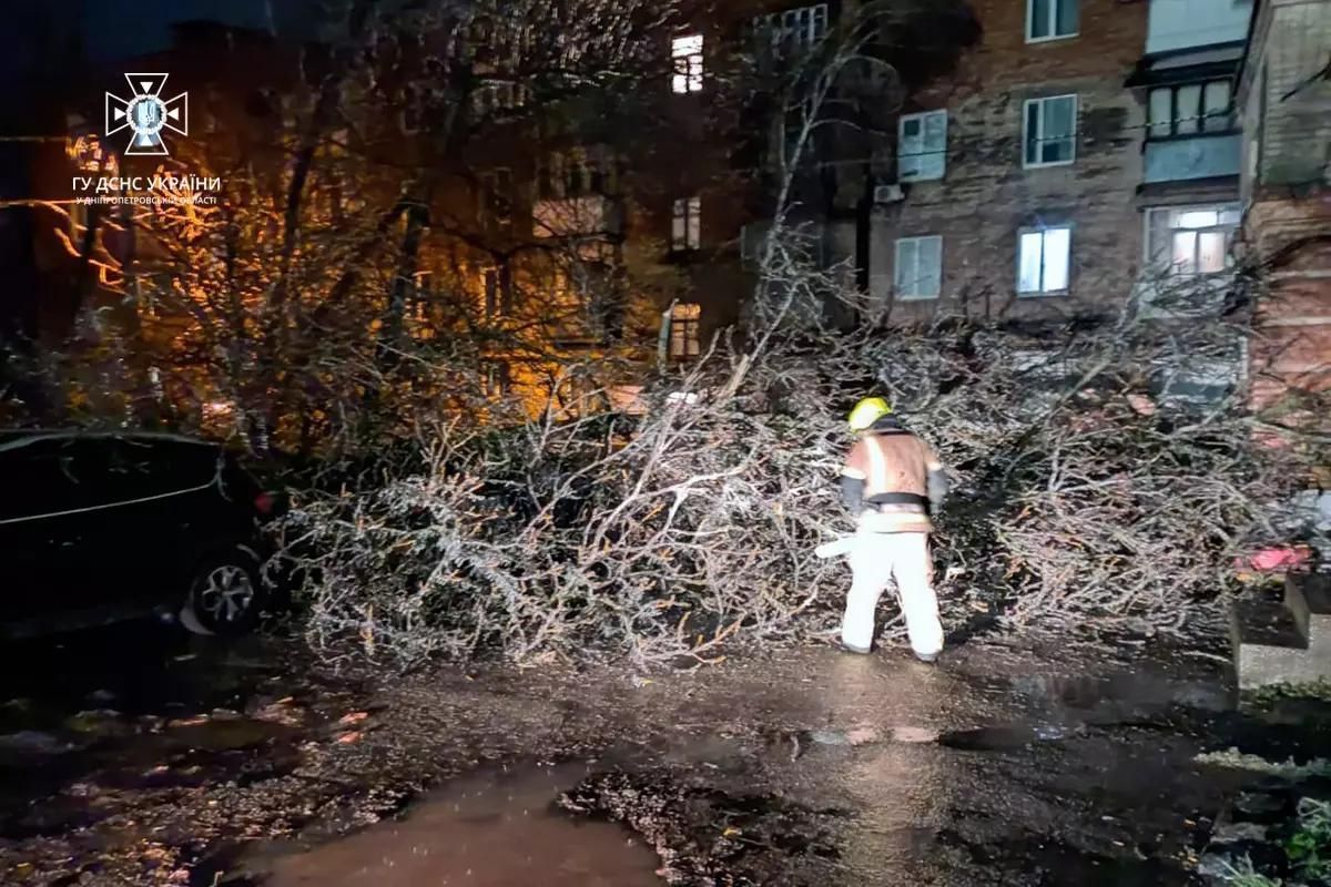 Пориви вітру повалили дерева Пориви вітру повалили дерева