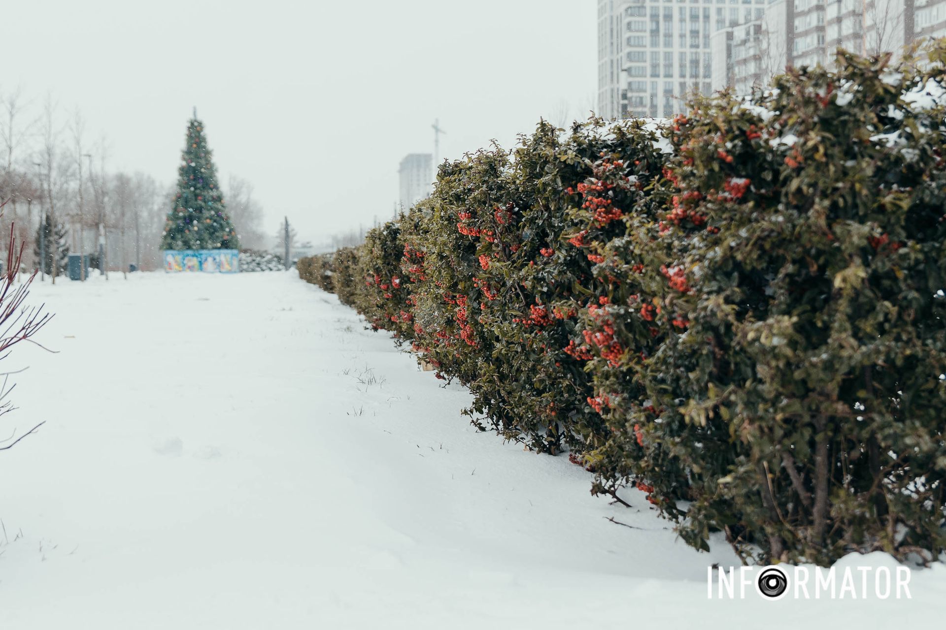 Зима в Днепре Зима в Днепре