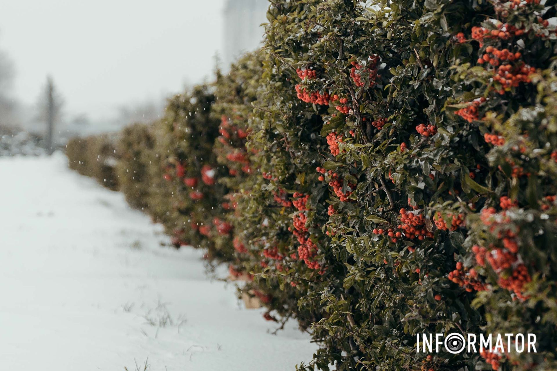 В течение дня будет держаться морозная погода В течение дня будет держаться морозная погода
