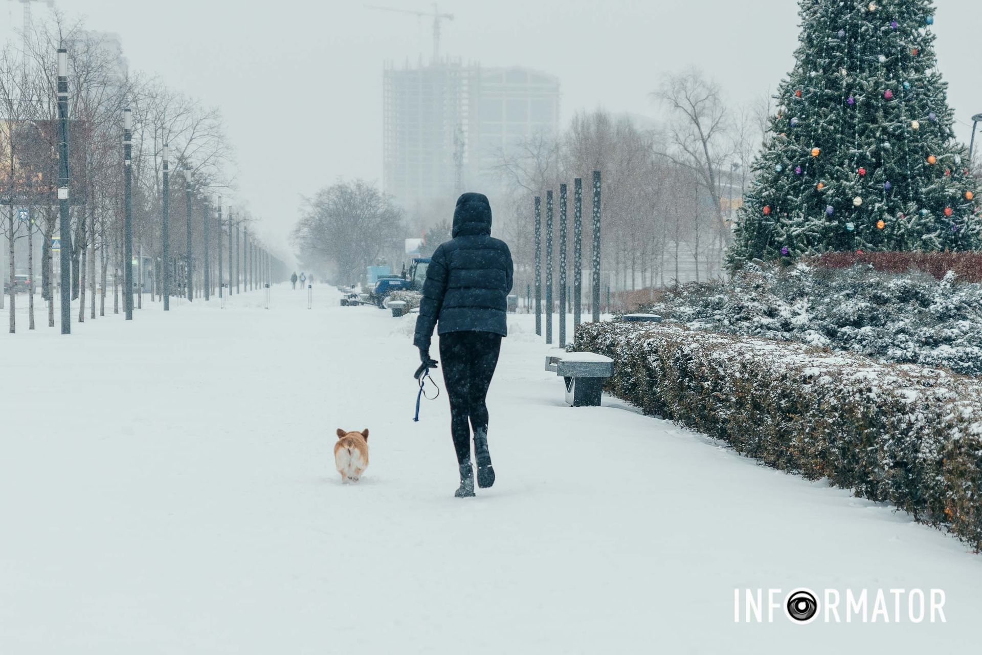 Как выглядит заснеженный Днепр Как выглядит заснеженный Днепр