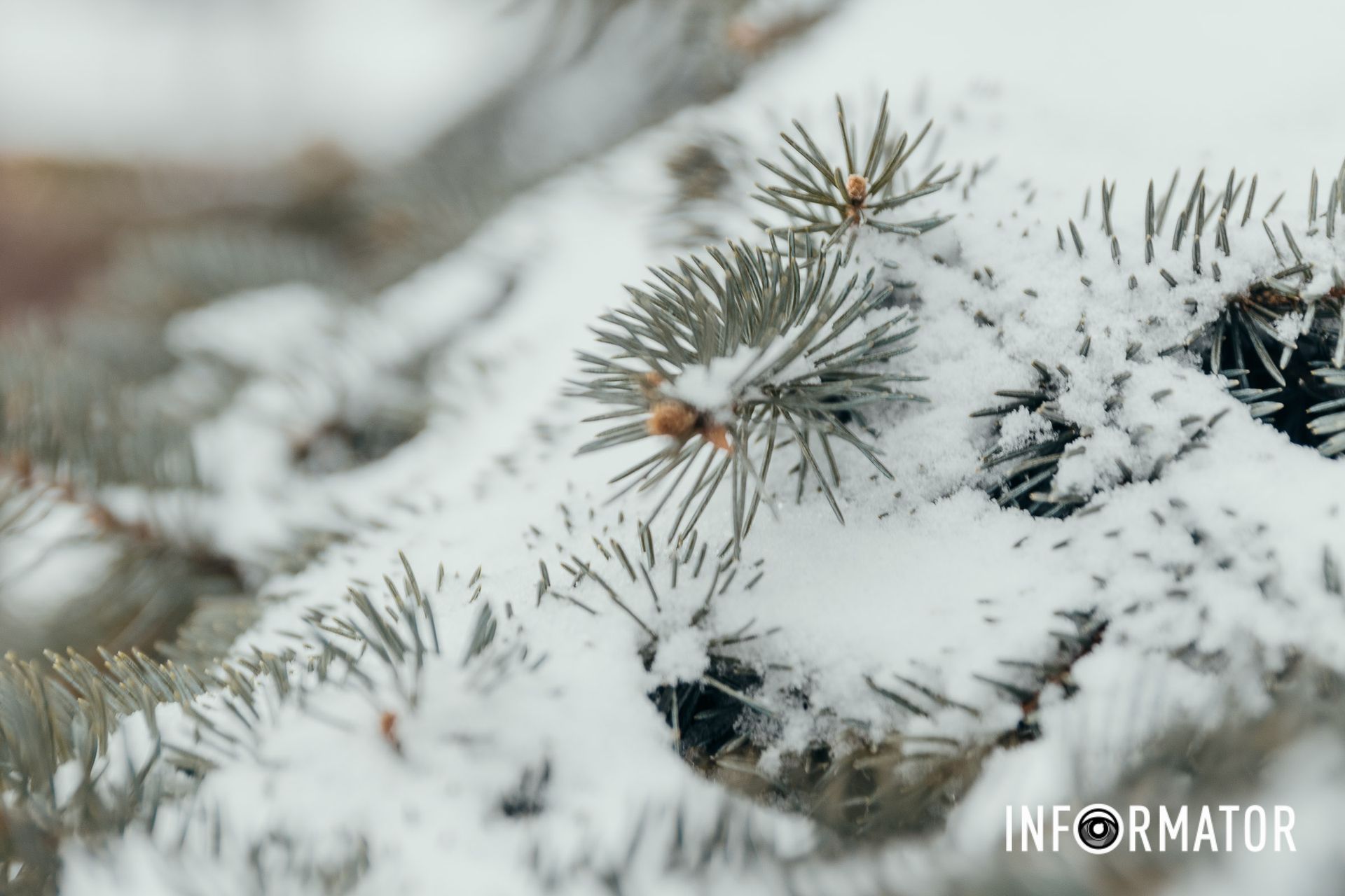 Днепр хорош в любую погоду Днепр хорош в любую погоду