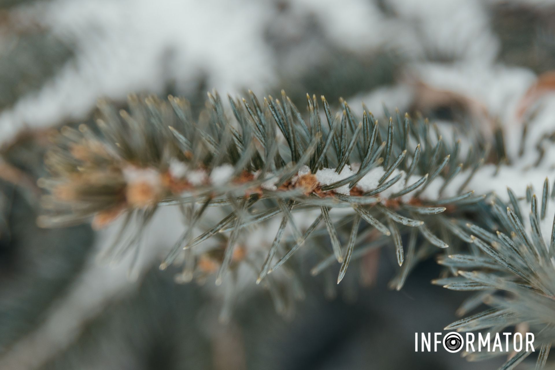 Как вам ракурс Как вам ракурс