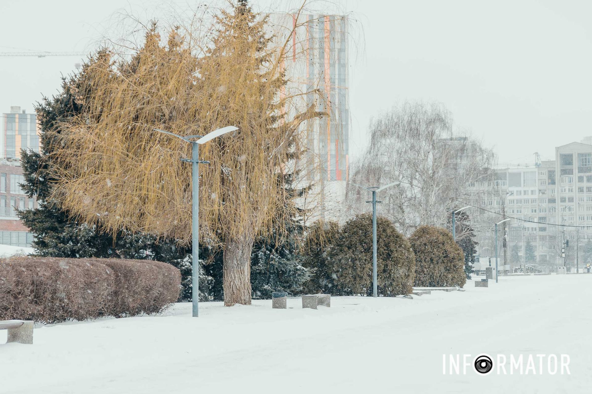Заснежило Заснежило