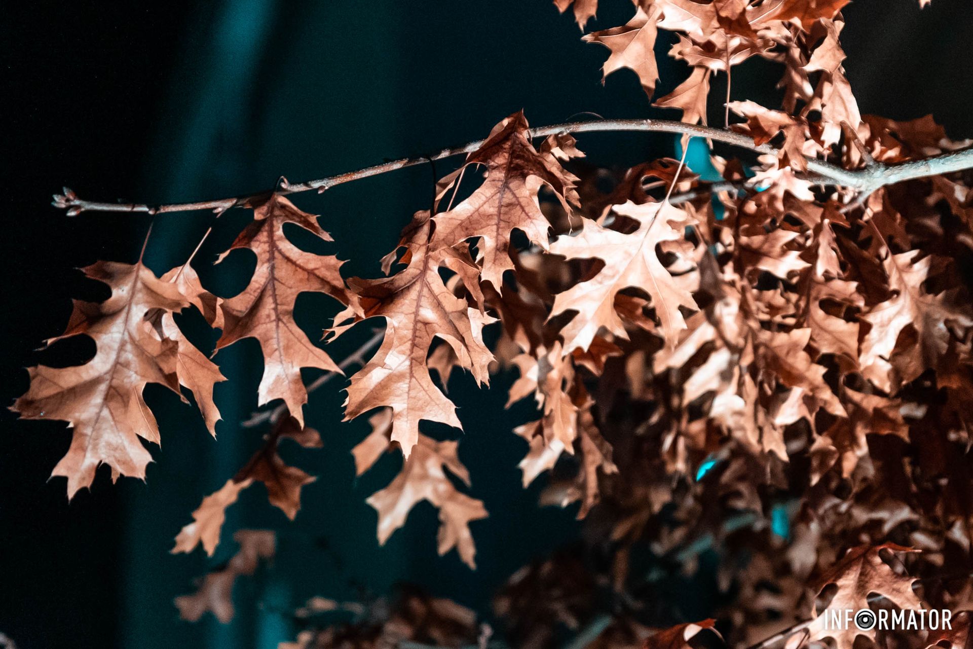 Оператори Інформатора зробили гарні світлини вечірнього міста