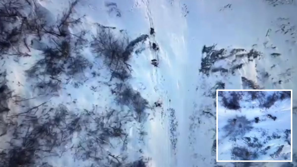 28 бригада показала кадры уничтожения захватчиков снарядом с беспилотника