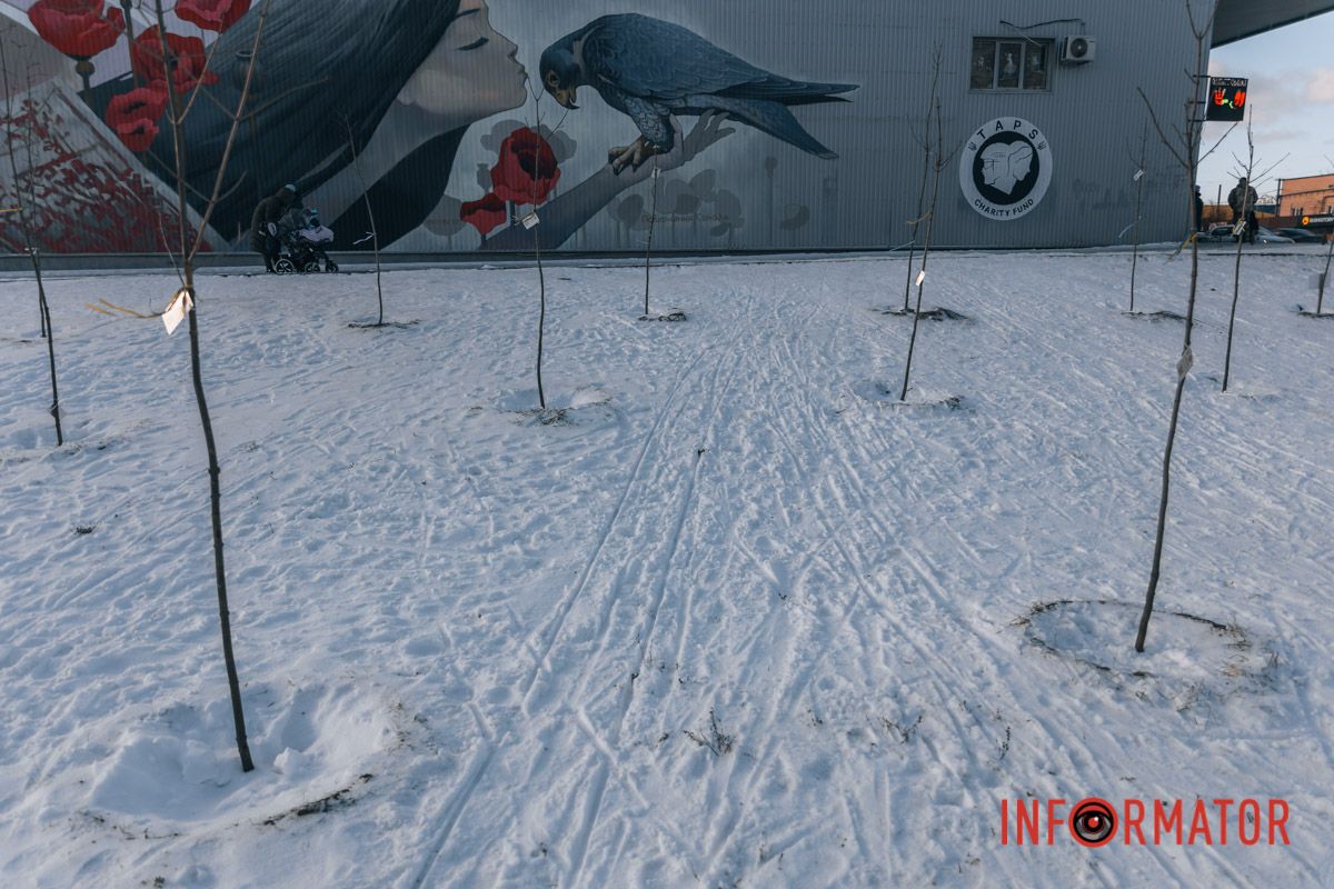 Такая горькая