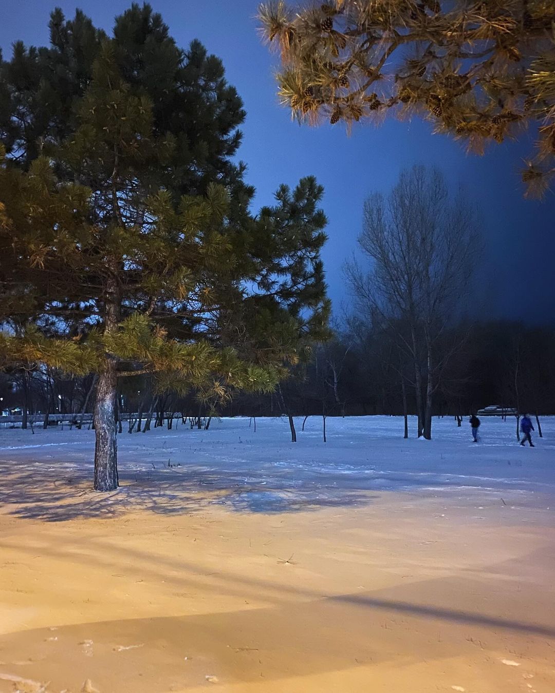 medeiiaa, leemeeaw medeiiaa, leemeeaw