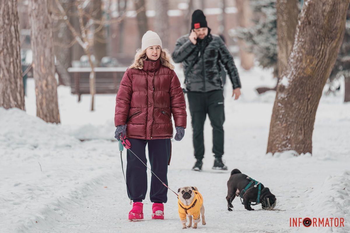 Четырехлапые друзья