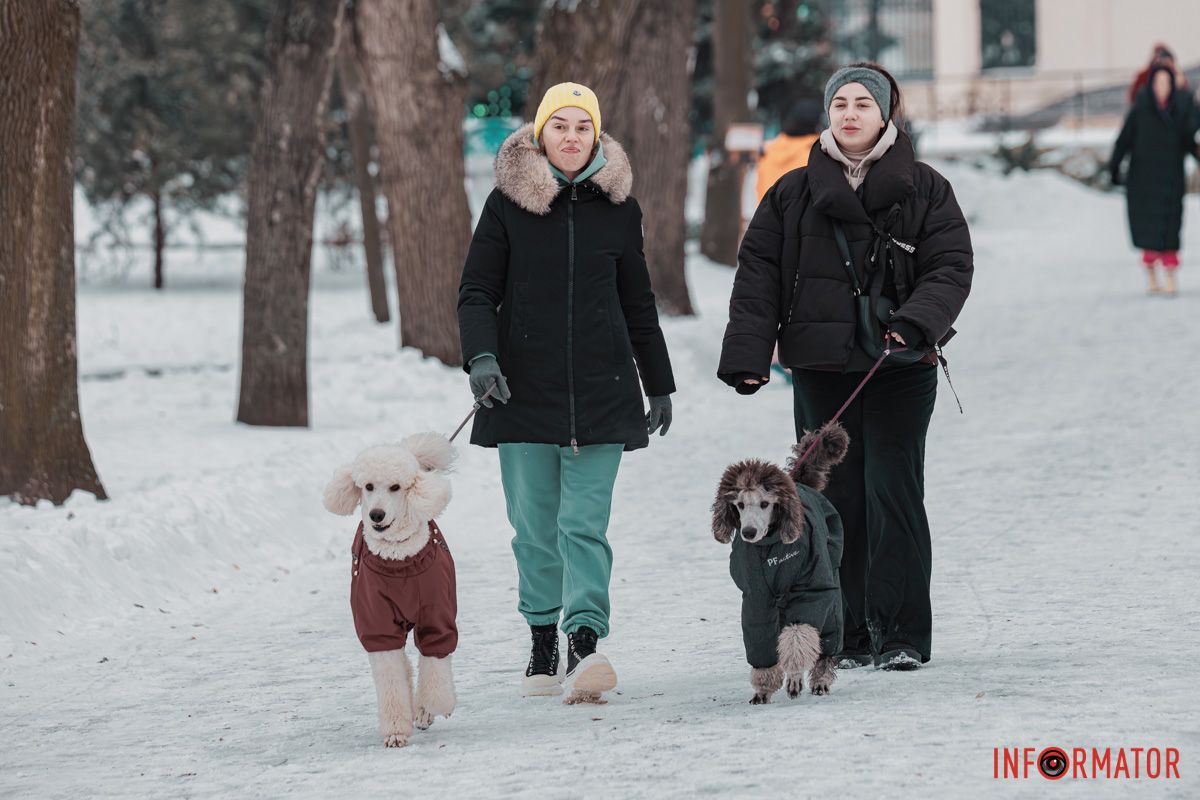 Фото: Андрей Шушпан
