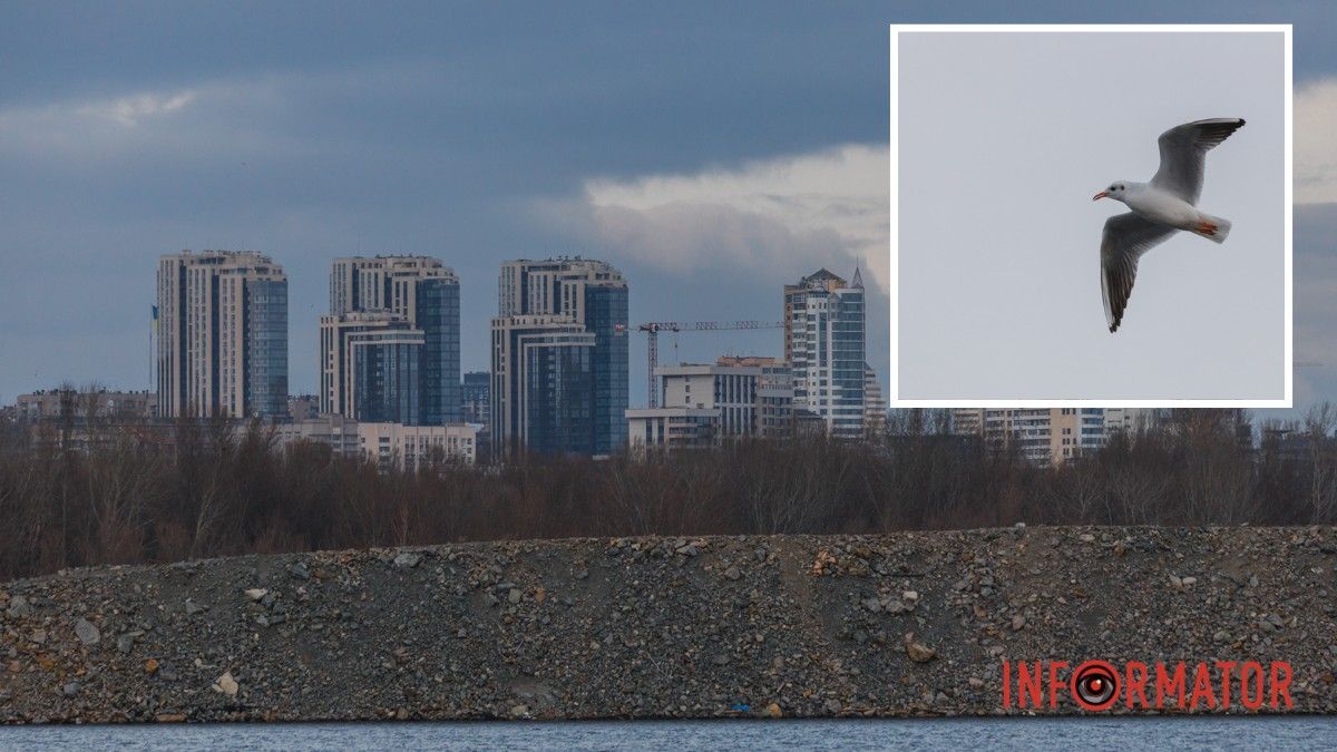 Погода на 15 января: в Днепре будет облачно