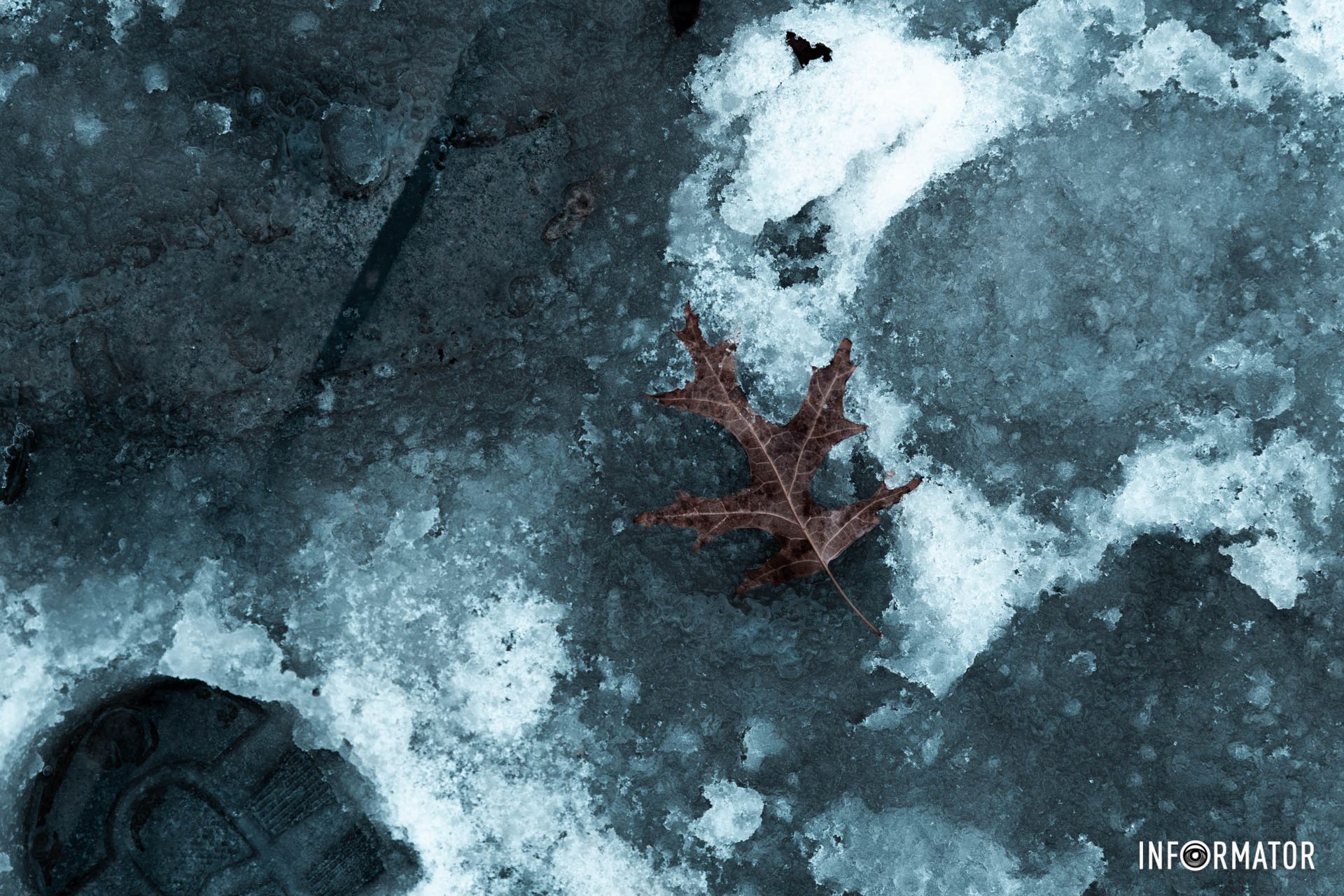 Осень – знак качества Осень – знак качества