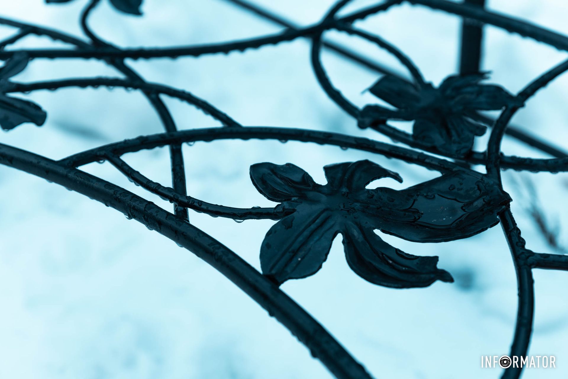 Символ счастья Символ счастья