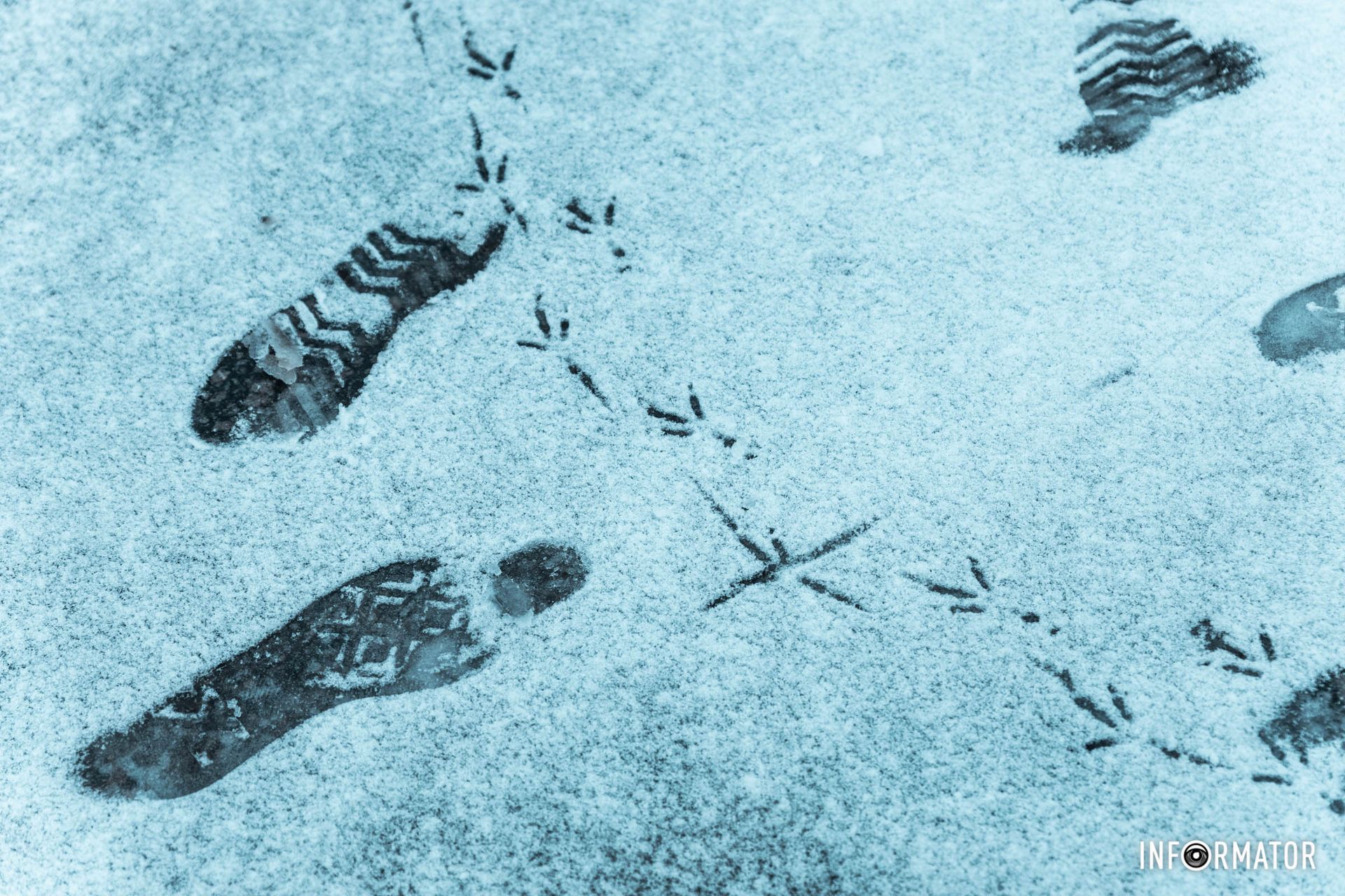 Он видел многое всего Он видел много всего