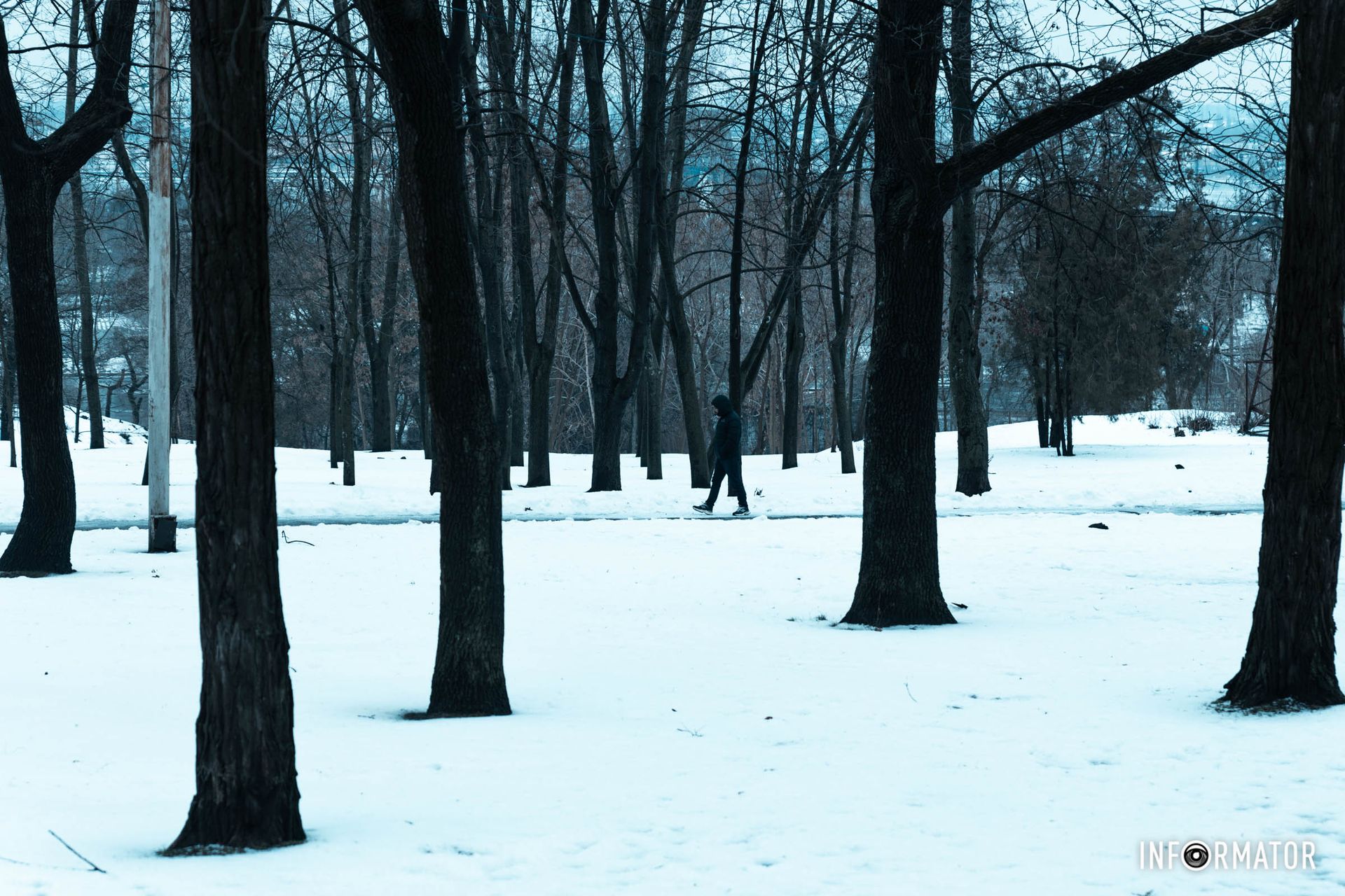 Магия снега Магия снега