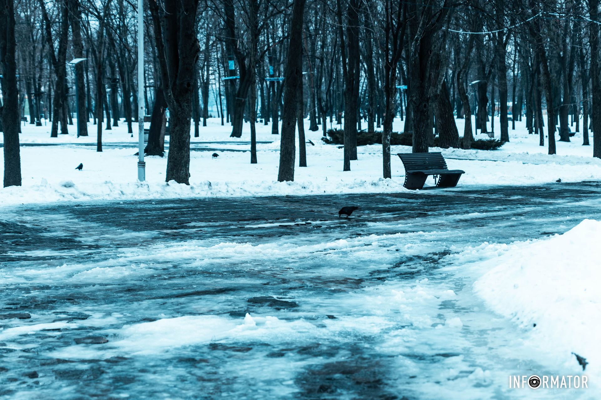 Красота зимы Красота зимы