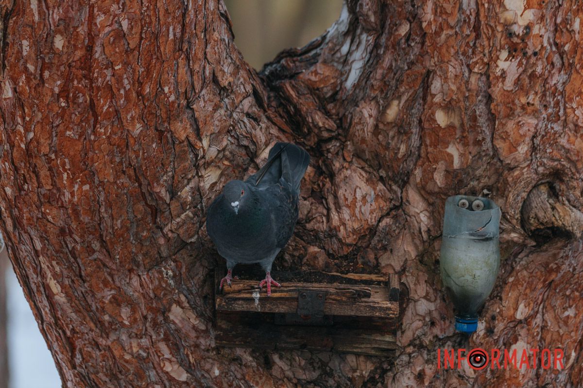 Магия момента