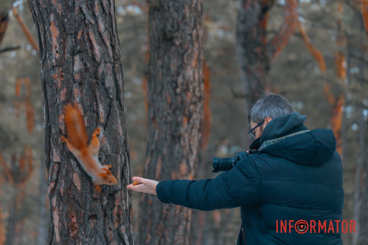 Информатор снимал белочок в Приднепровске