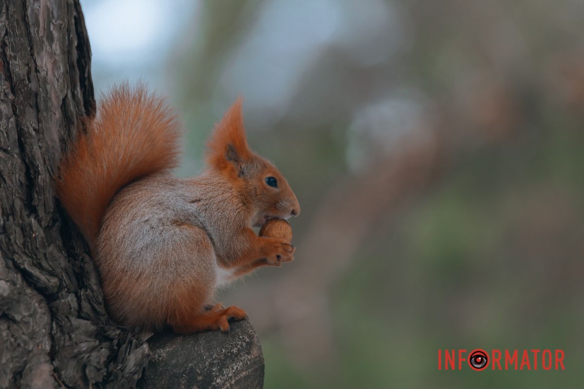 Обеденный перерыв