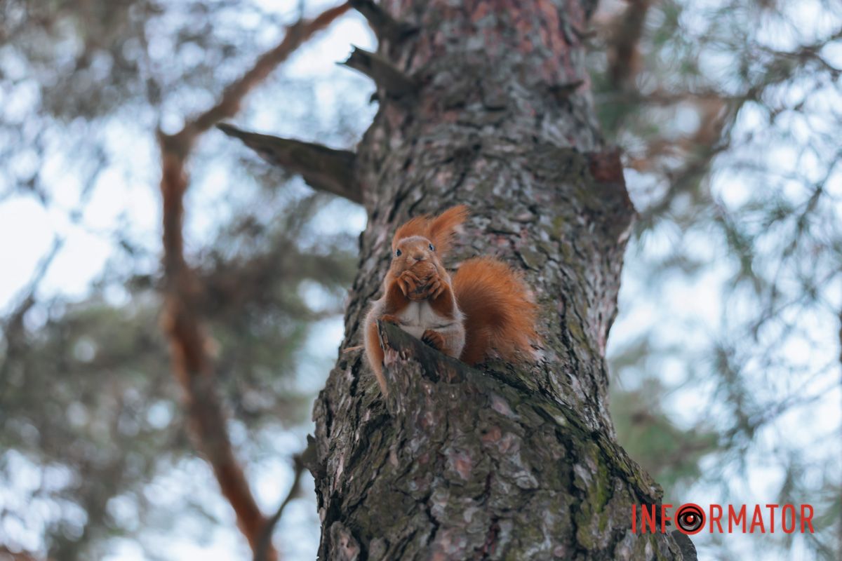 Фото: Денис Чубченко