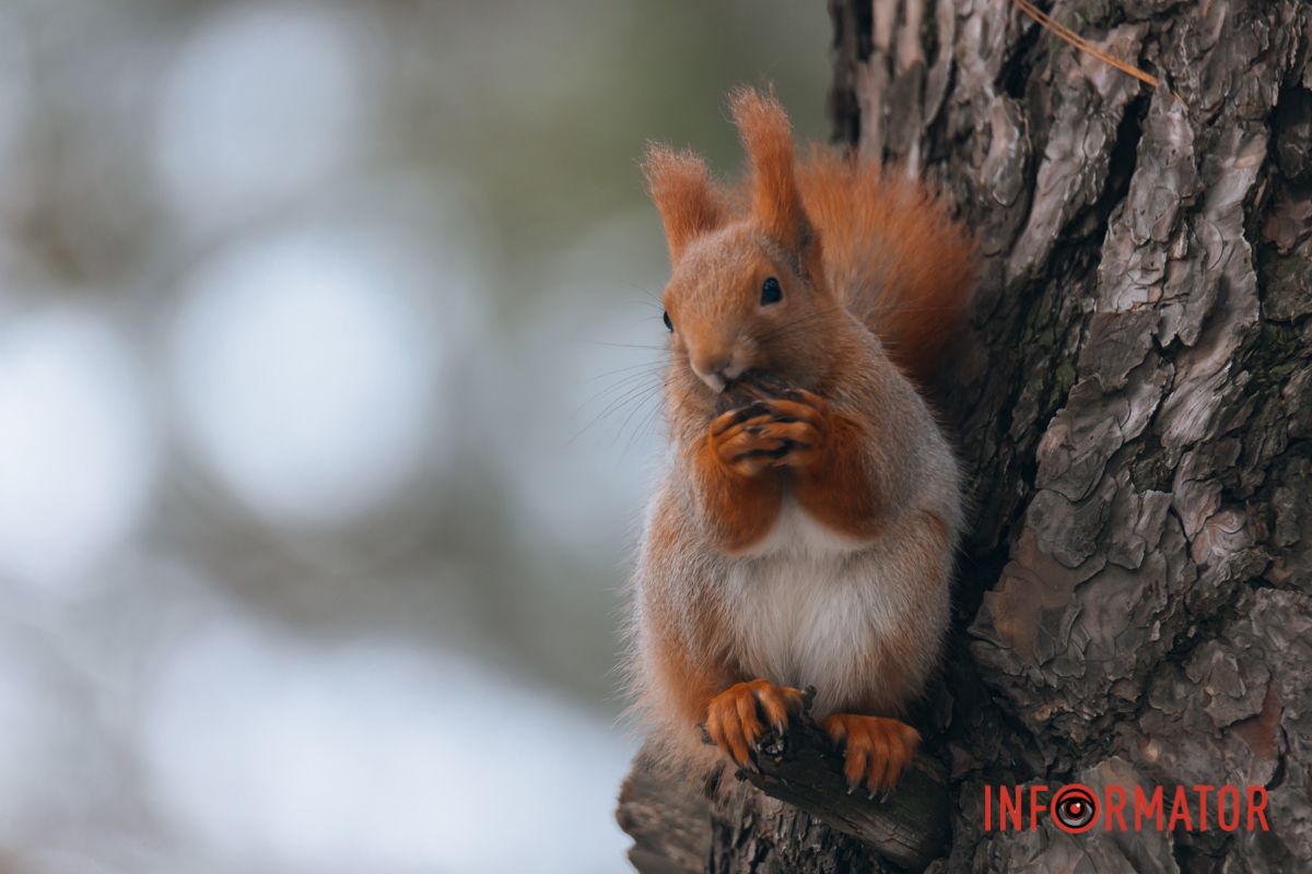 Наши операторы стараются для вас