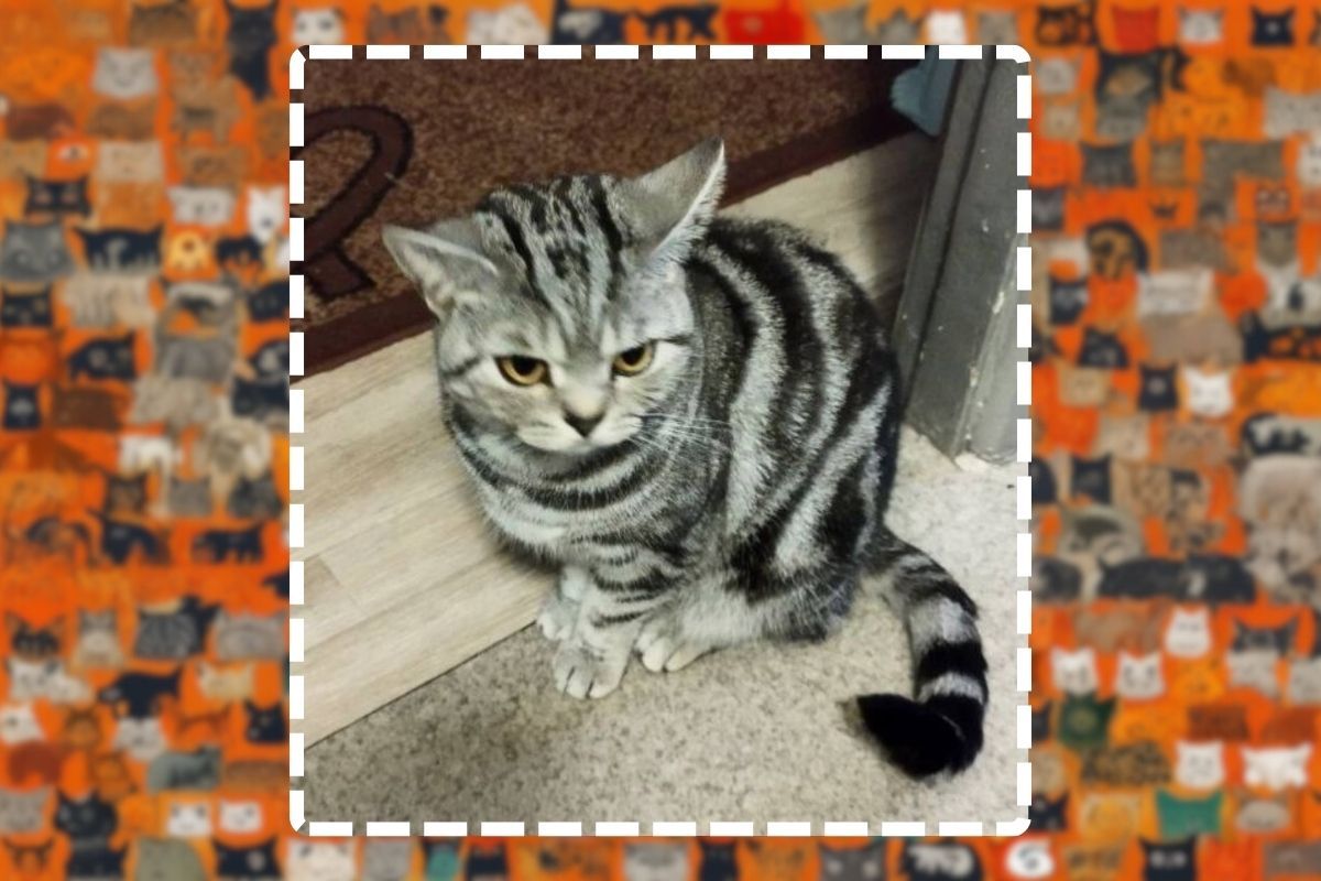 Ее зовут Боня