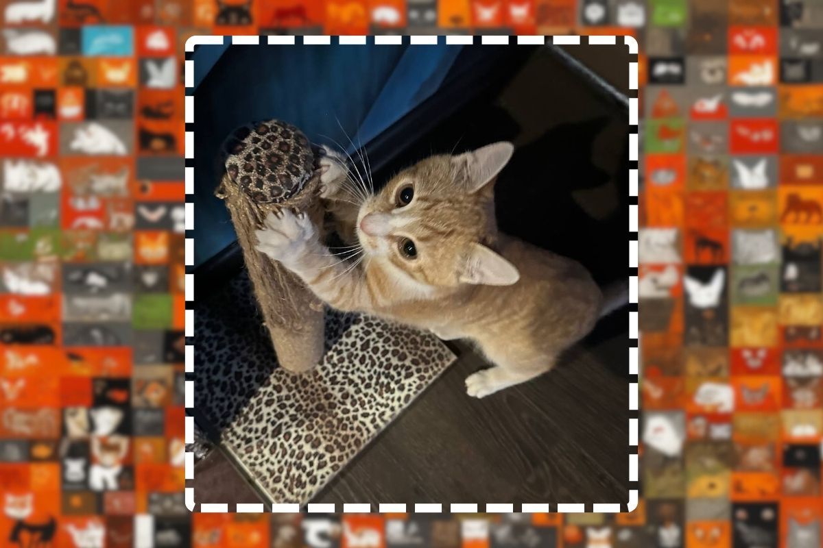 Он ждет именно Вас