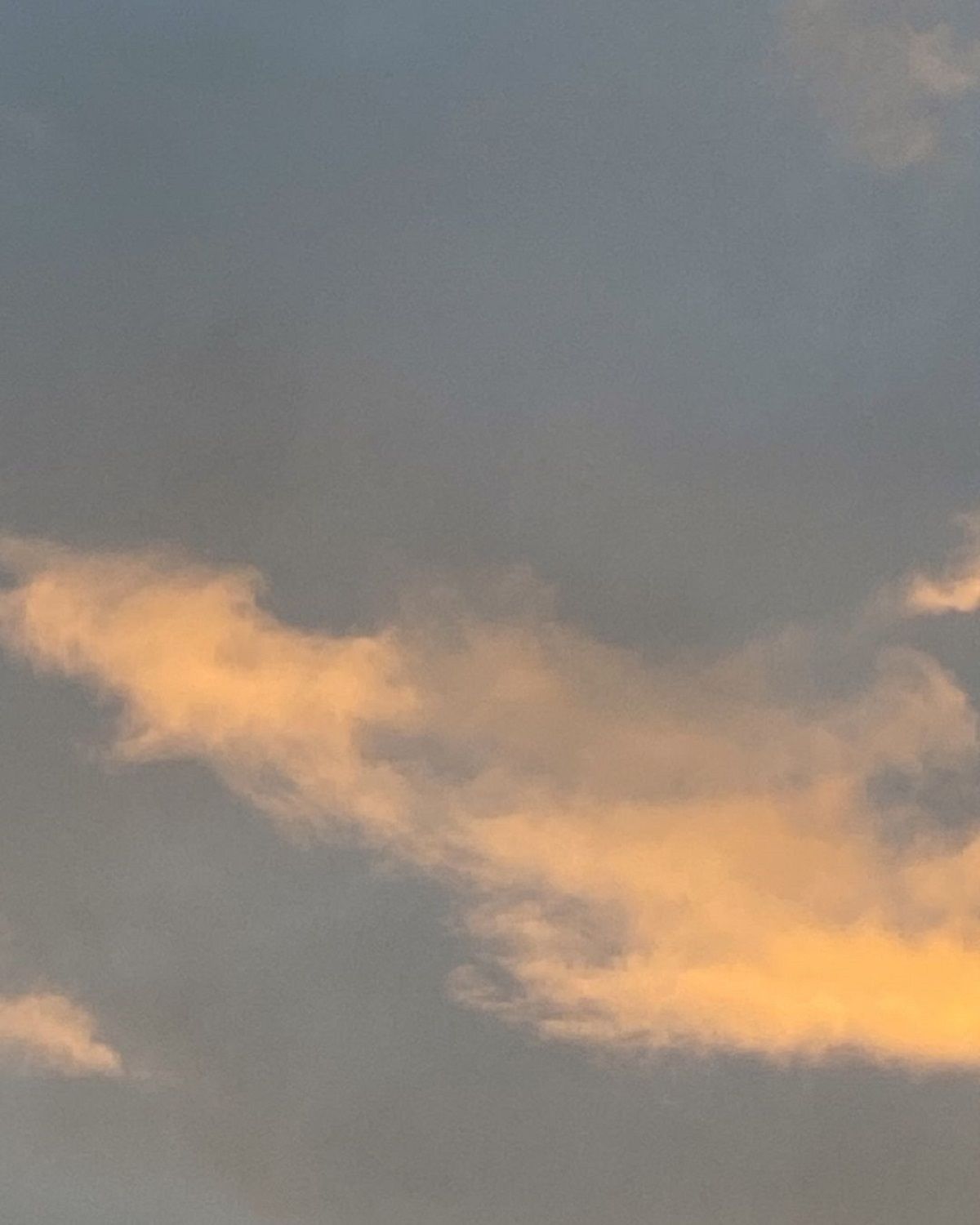 Фото: @goncharova.natalii